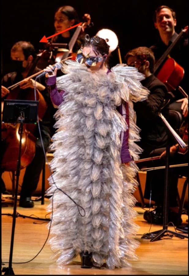 On stage with Björk